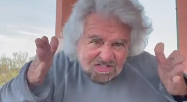 grillo