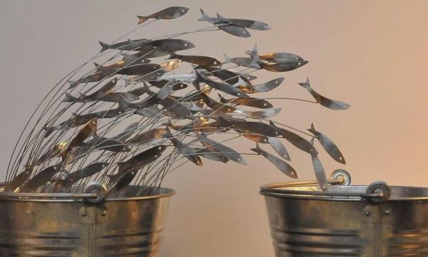 sardine_logalbo